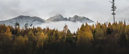 Adapting global standards