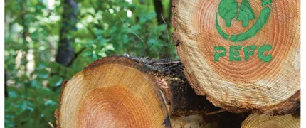 Hvorfor blive PEFC-certificeret?