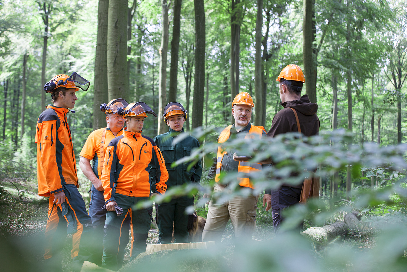 Forest audit in Germany